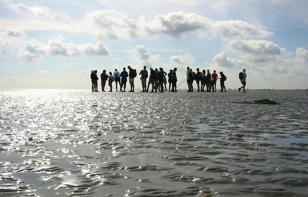 Wadlopen (walking in the Waddenzee) a unique experience