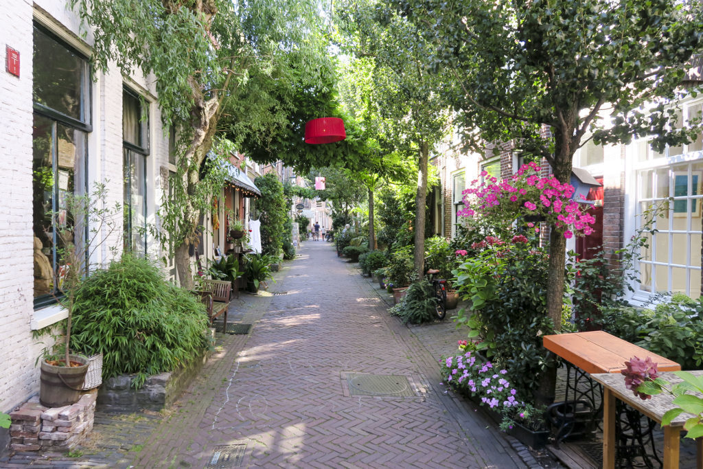 One of the typical streets of Haarlem, with a lot of Green
