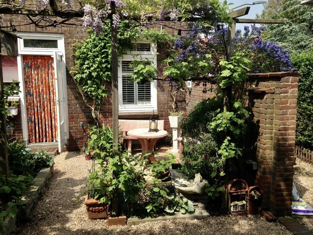 The garden