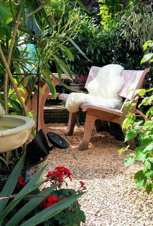 The garden