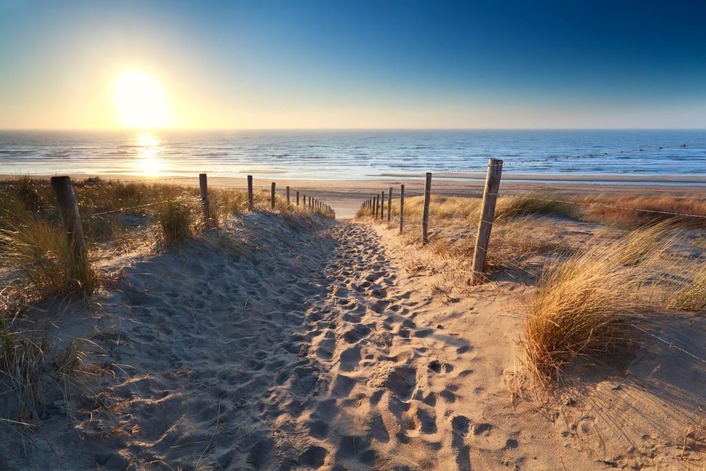 The Beach of Zandvoort. You can take the bike (15 minutes) of take the bus (15 minutes)