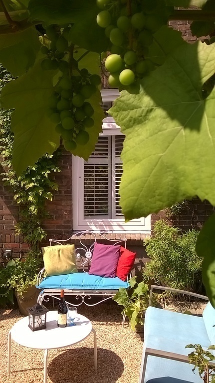 The Garden during summer