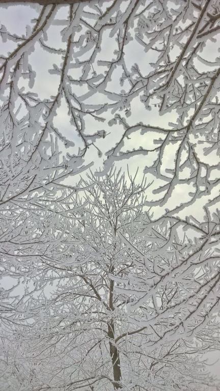 ook de winter is mooi...