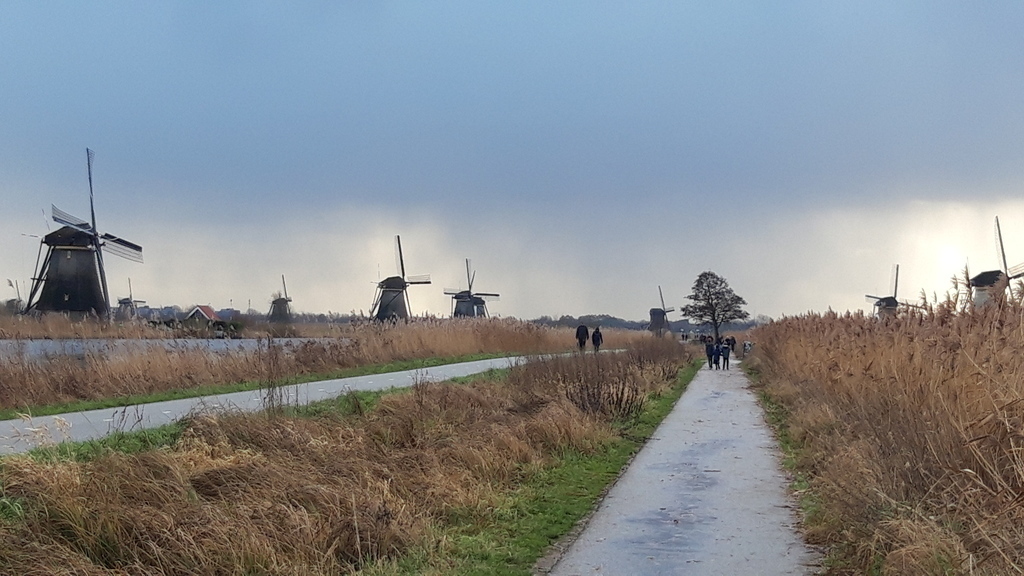 Kinderdijk ( 40 minutes by car)