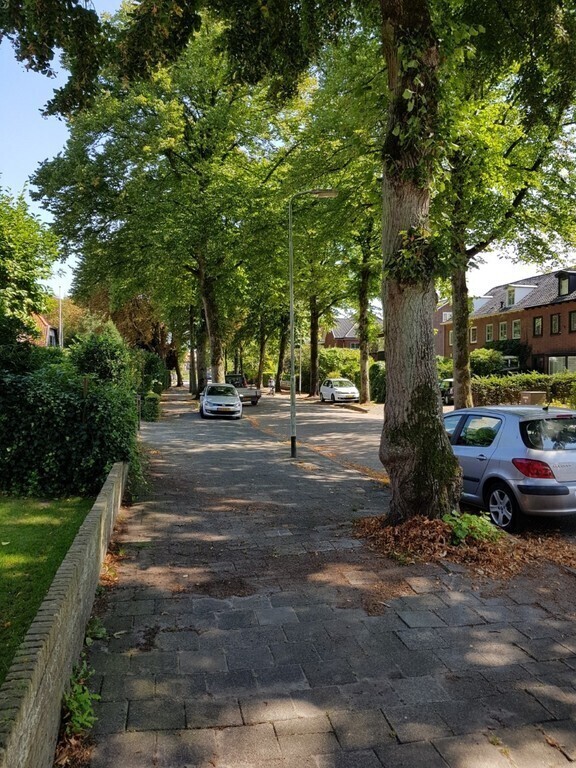 Our street/Free parking