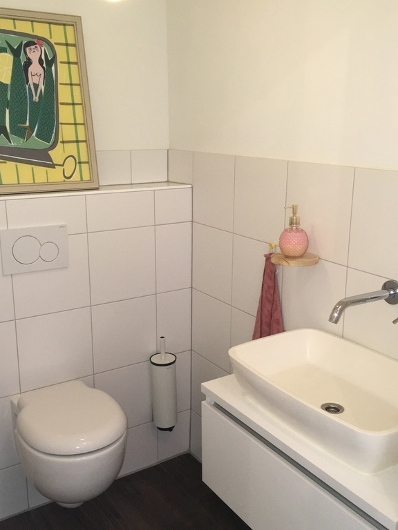 Toilet Ground Floor ( in the middle of living room / kitchen )