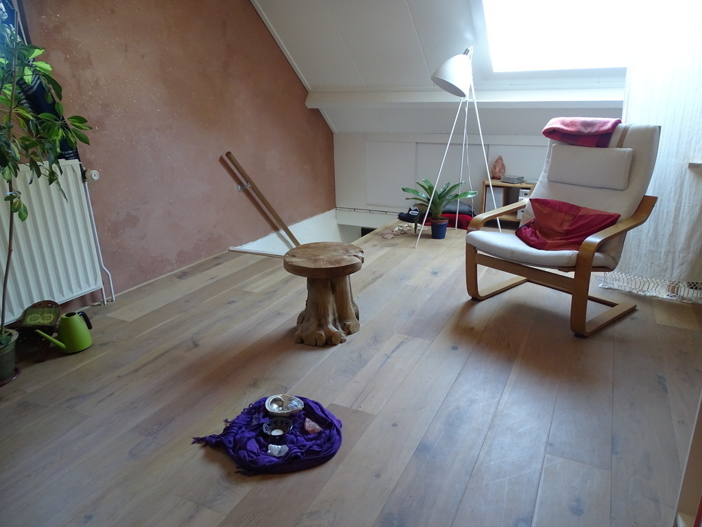 Meditation room or 5th bed room with mattress