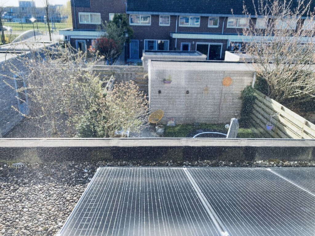 View backside of the house from Lisandro's room