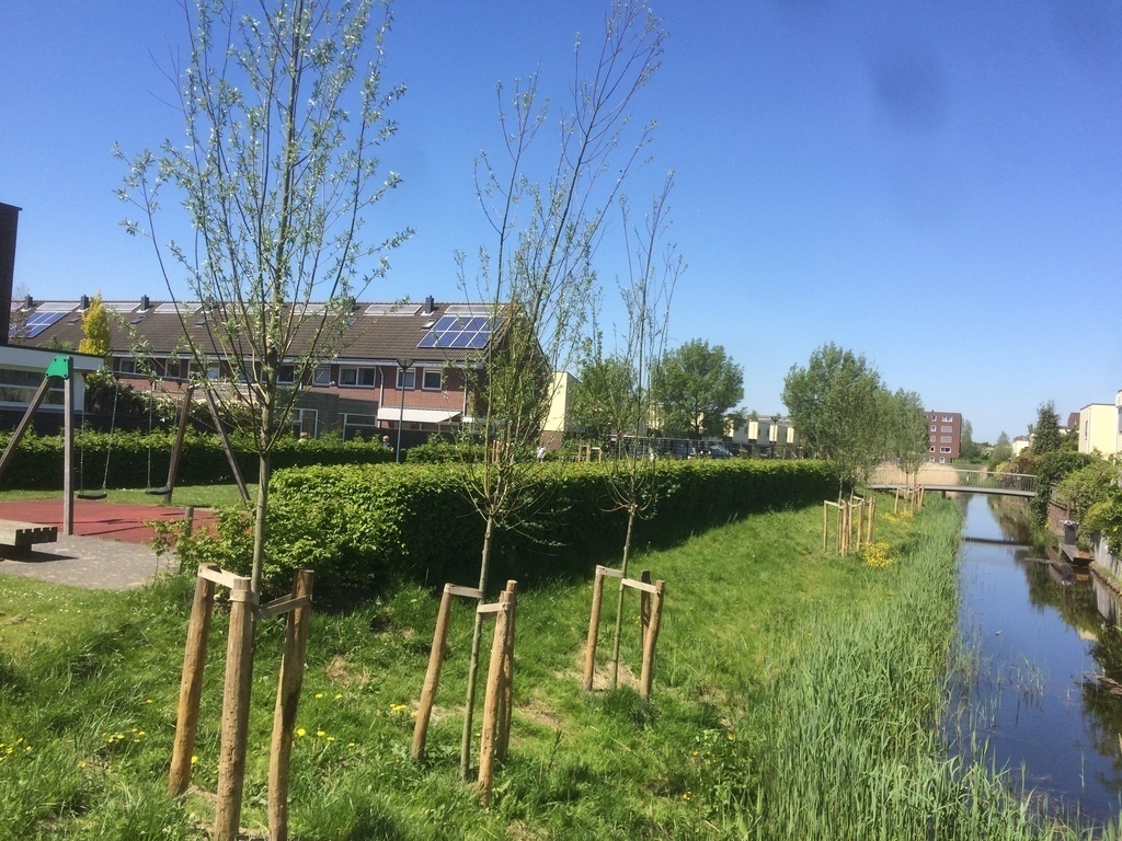 Example of water close around the house, basically the neighbourhood is surrounded by water & green areas