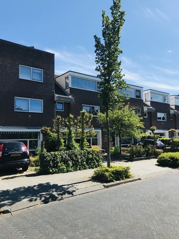 Front view of the full row of houses, our house is the 2nd starting left
