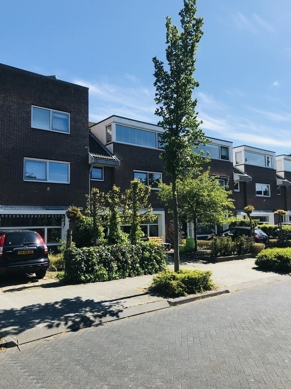 Front view of the full row of houses, our house is the 2nd starting left