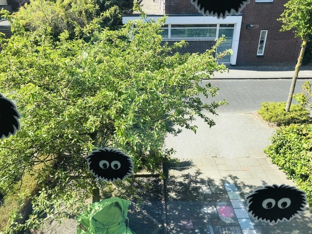 Front view of the house from Gustavo's room