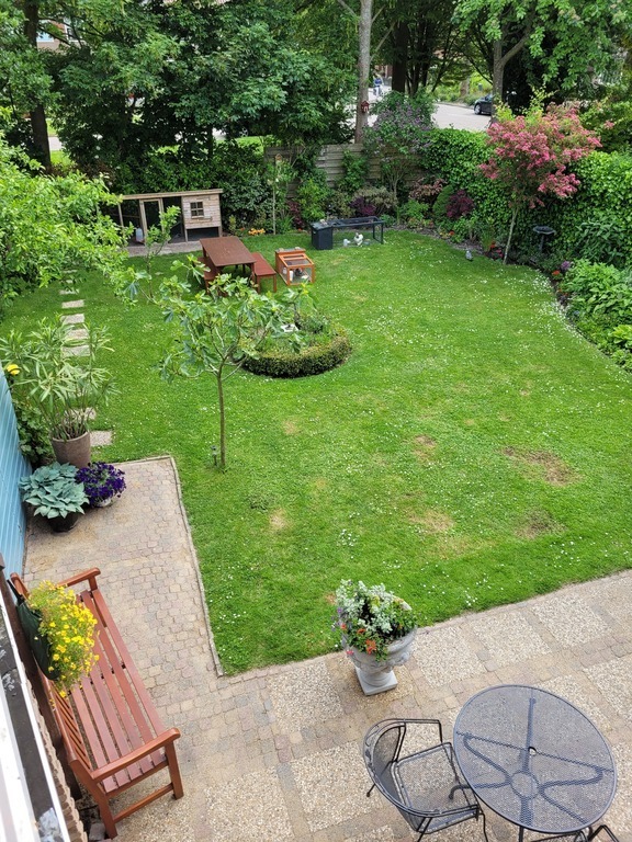 our backyard 