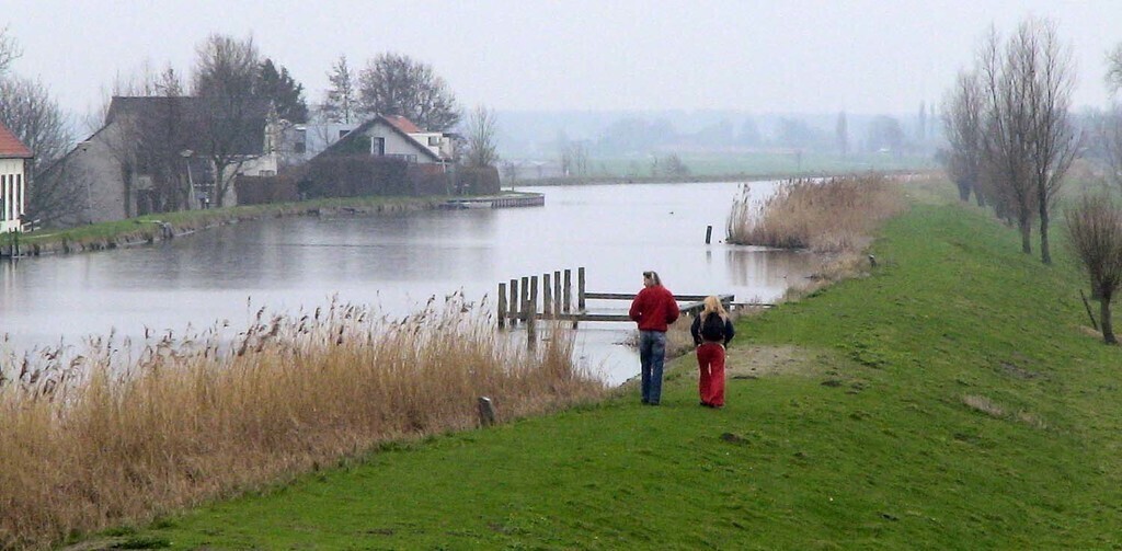 Polder scenery