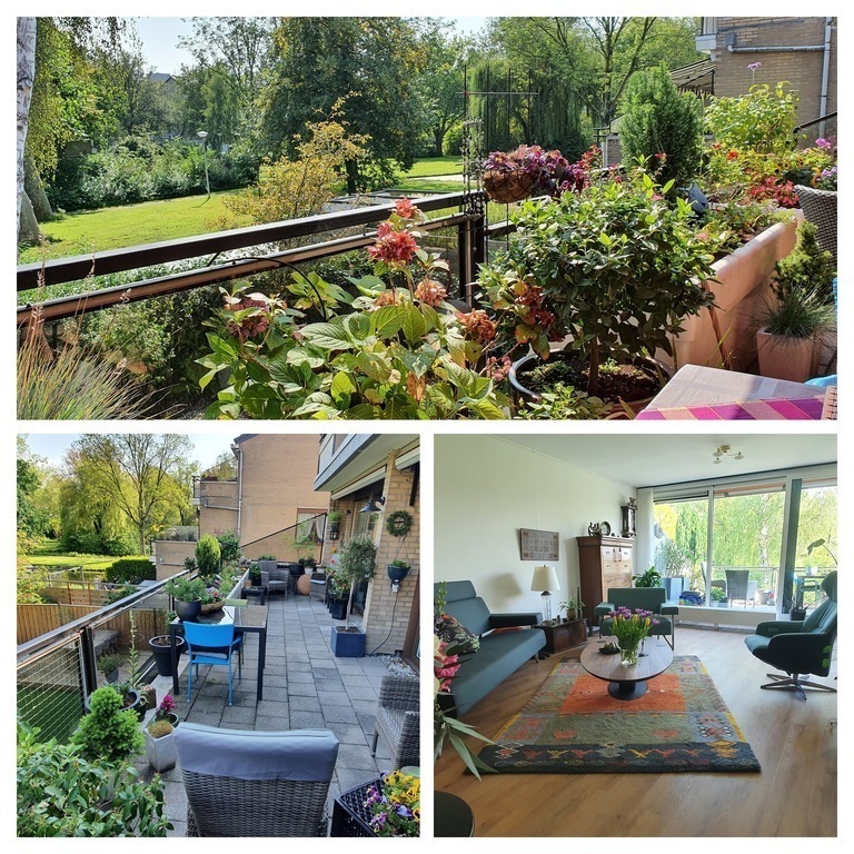 Collage of the appartment