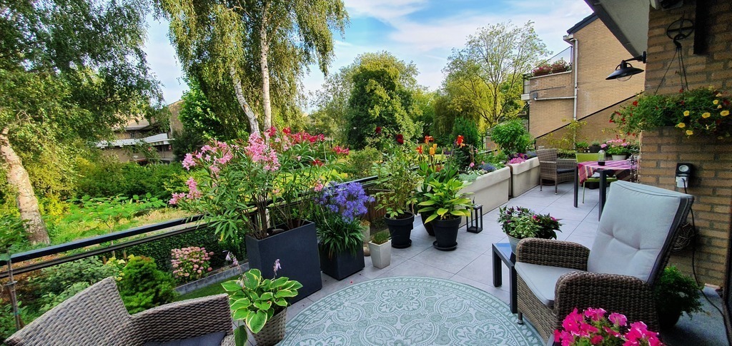 Uitzicht vanaf kamers en terras