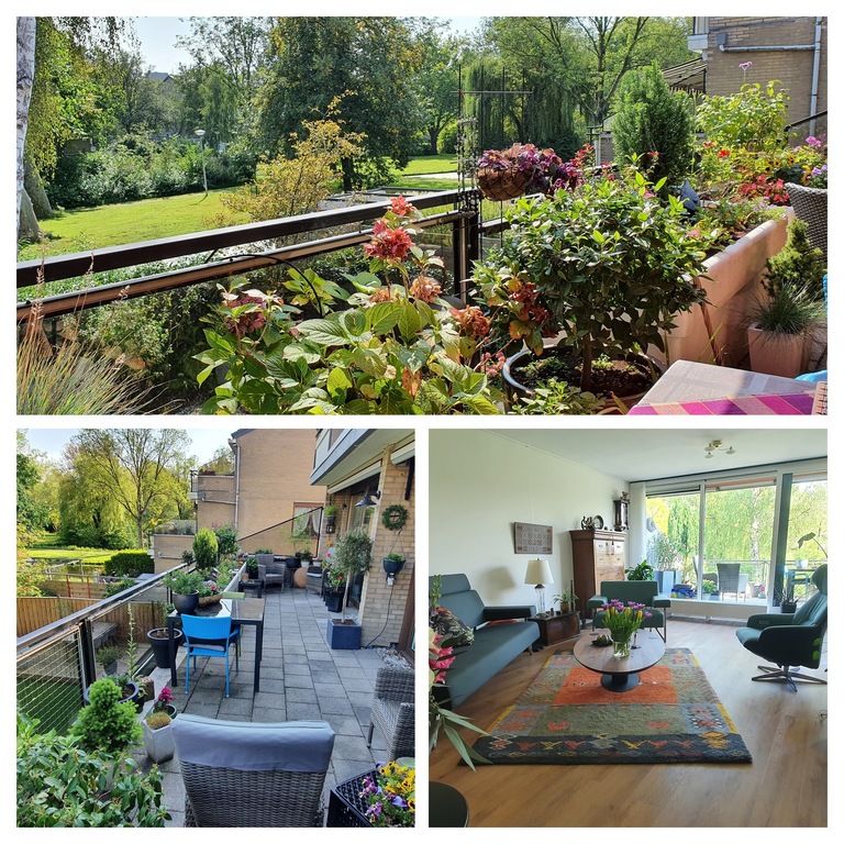 Collage of the appartment