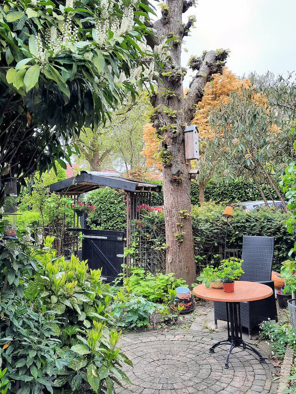 Zitplek voor de keuken