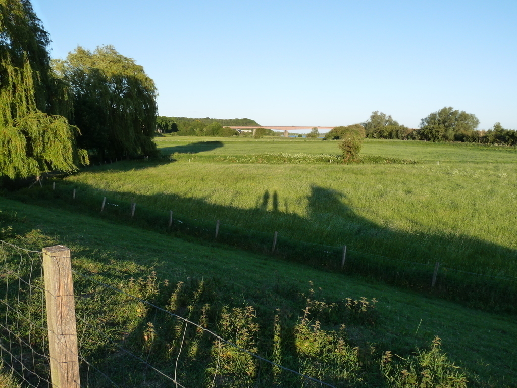 The flood plains of the river Rhine