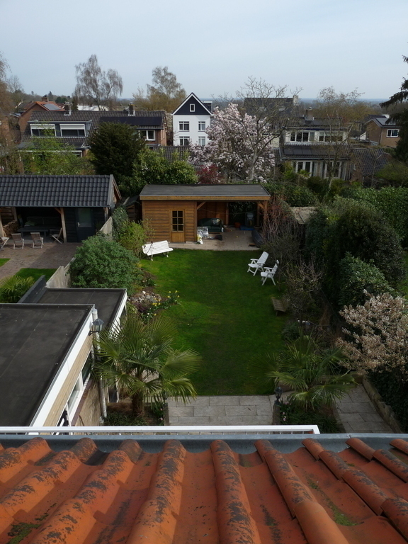 View from the second floor; our garden