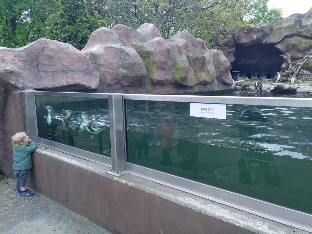 Evan in Ouwehands Zoo