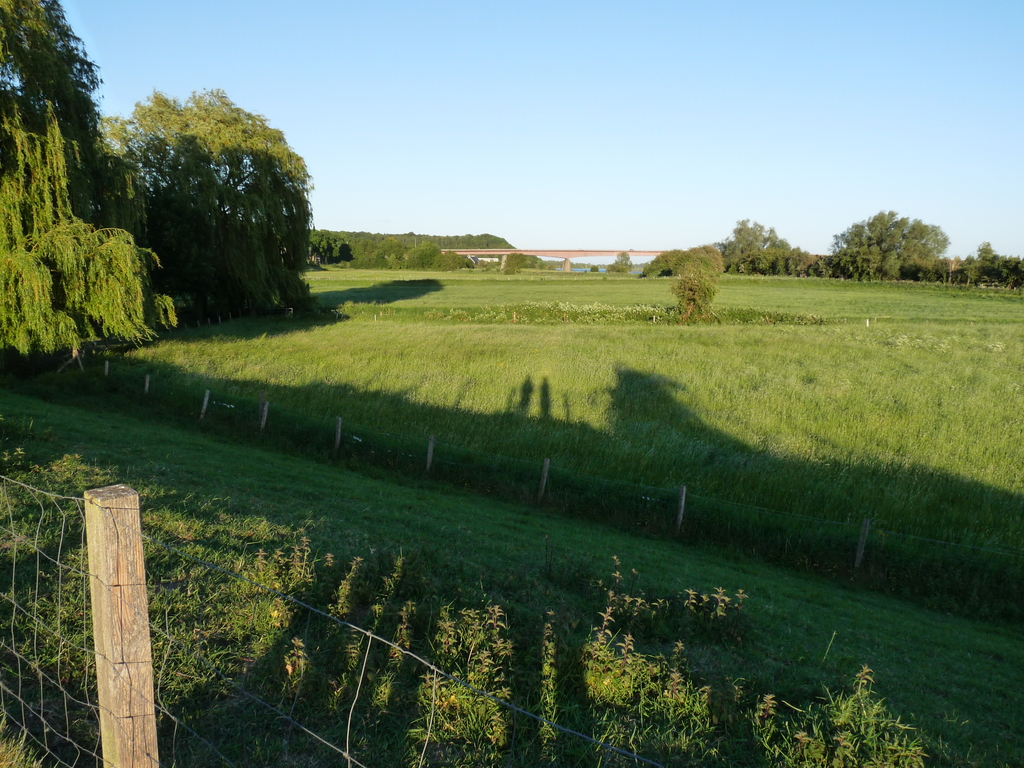 The flood plains of the river Rhine