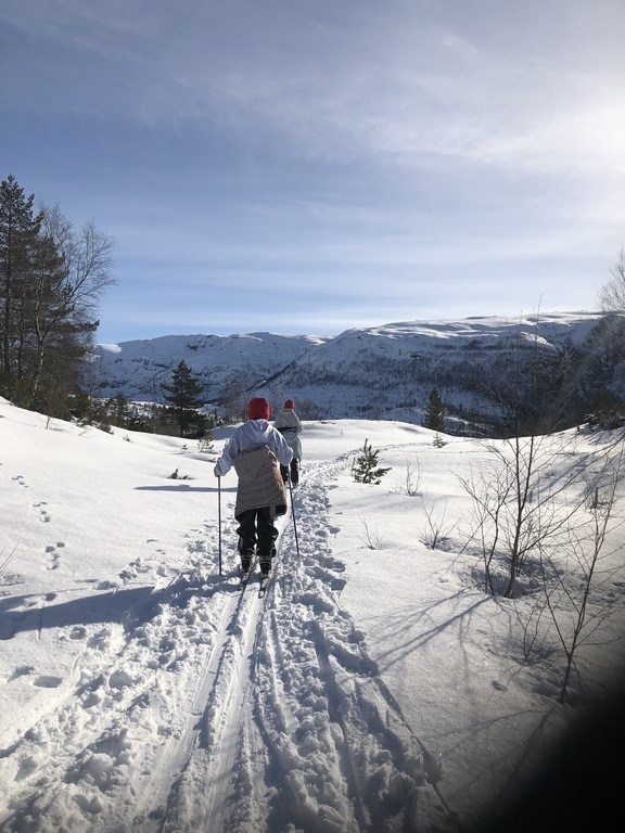 Nice skiing terrain (in winter), 30-50-min drive away