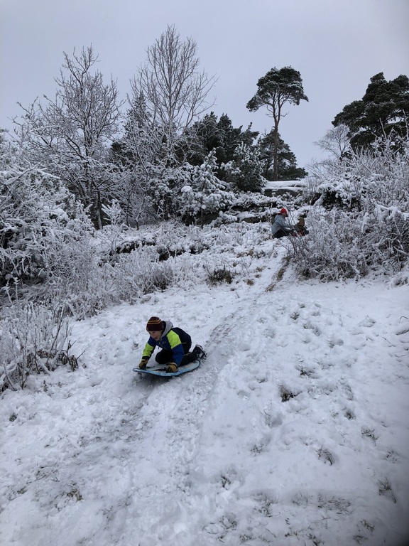 Playing in the street