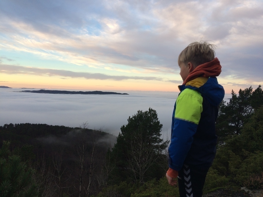 On a foggy day, on the hillside behind the house