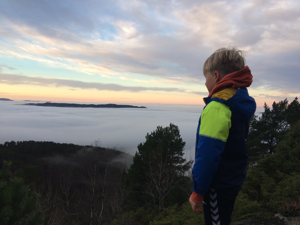 On a foggy day, on the hillside behind the house