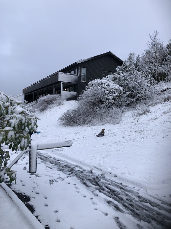 The house lies at the end of a dead-end street with a road barrier and very little traffic