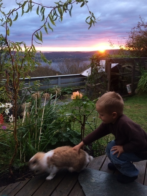 Evening in the lower garden