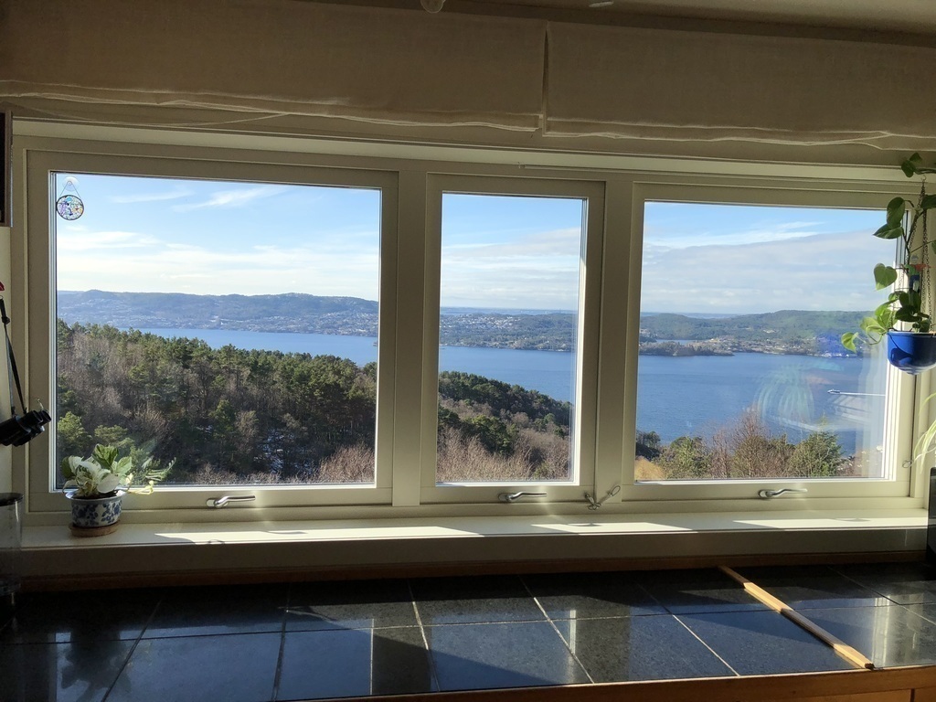 Through the kitchen window