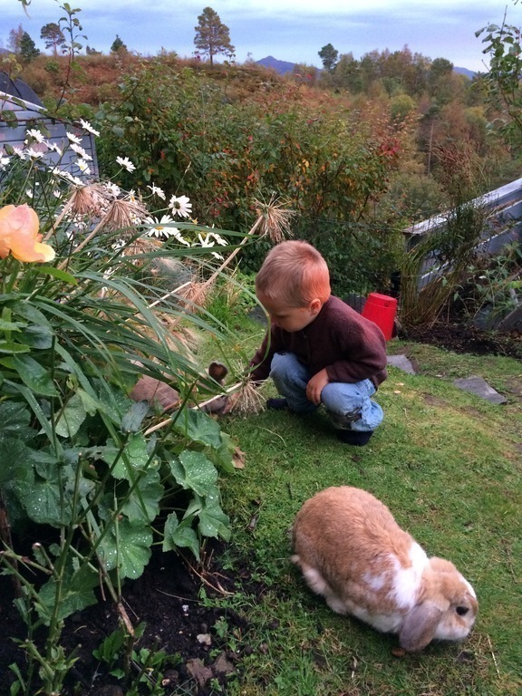 Youngest son with our two rabbits. We kindly ask that our Intervac friends feed the rabbits every other day.