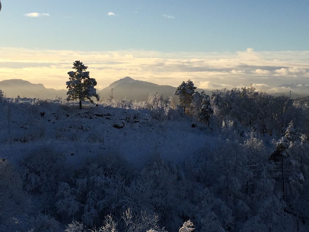 View towards south (Bergen city centre by the mountain in the distance)