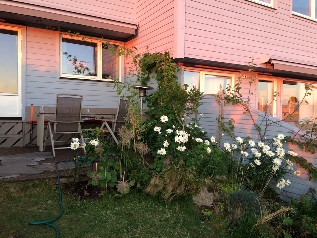 Sunset in the lower garden