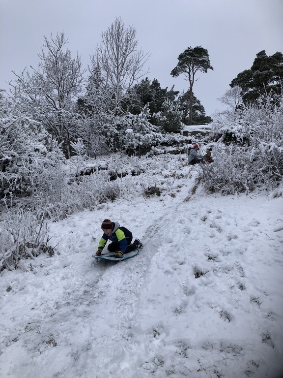 Playing in the street