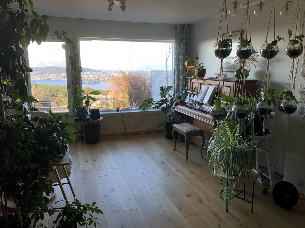 Living room, with exit to the lower garden