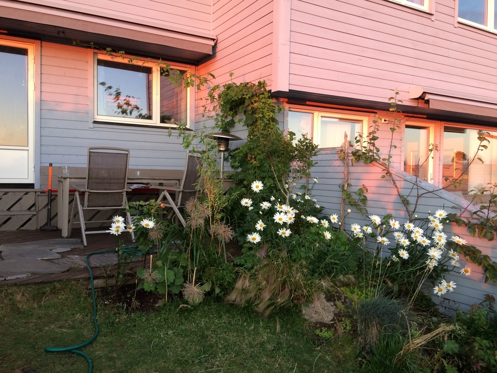 Sunset in the lower garden