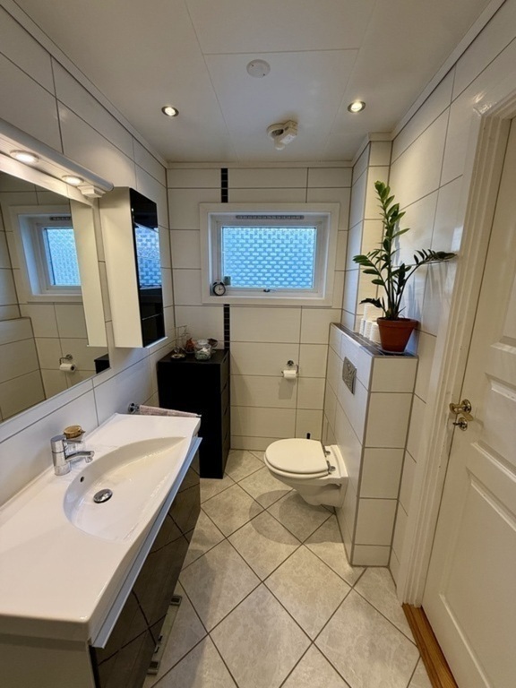 Bathroom downstairs also has a toilet