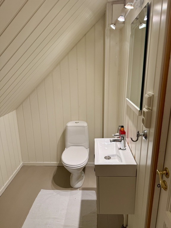 Second bathroom upstairs with toilet