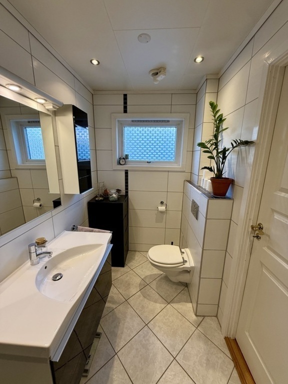 Bathroom downstairs also has a toilet