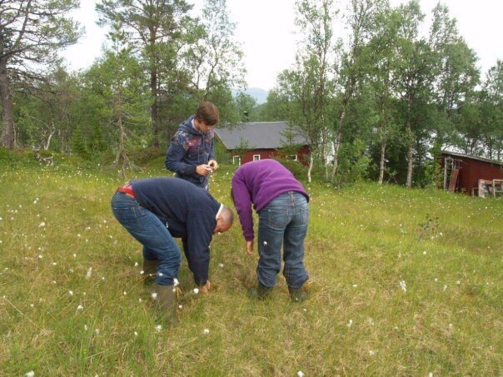French friends picking berries just outside the door...