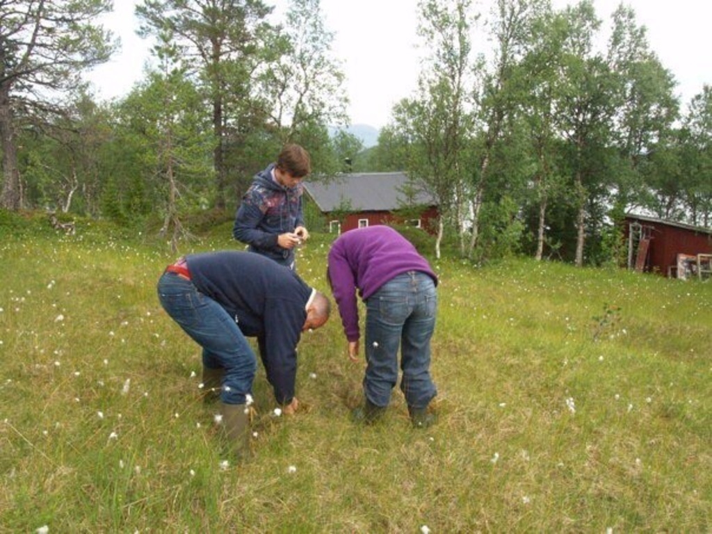 French friends picking berries just outside the door...