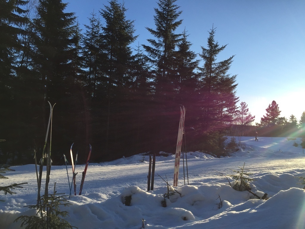 In the winter skiing is possible ..