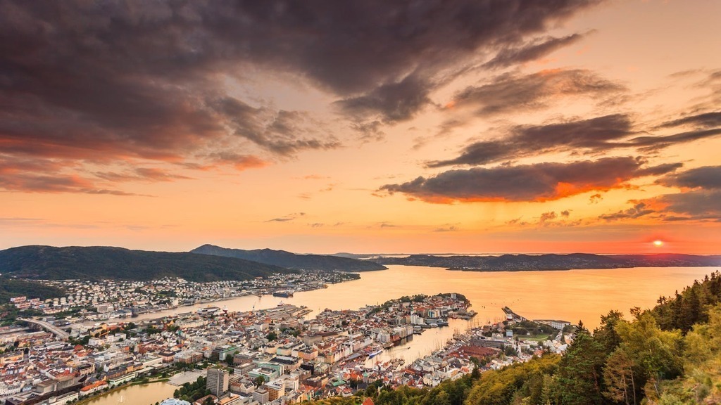 ..and a more professional foto