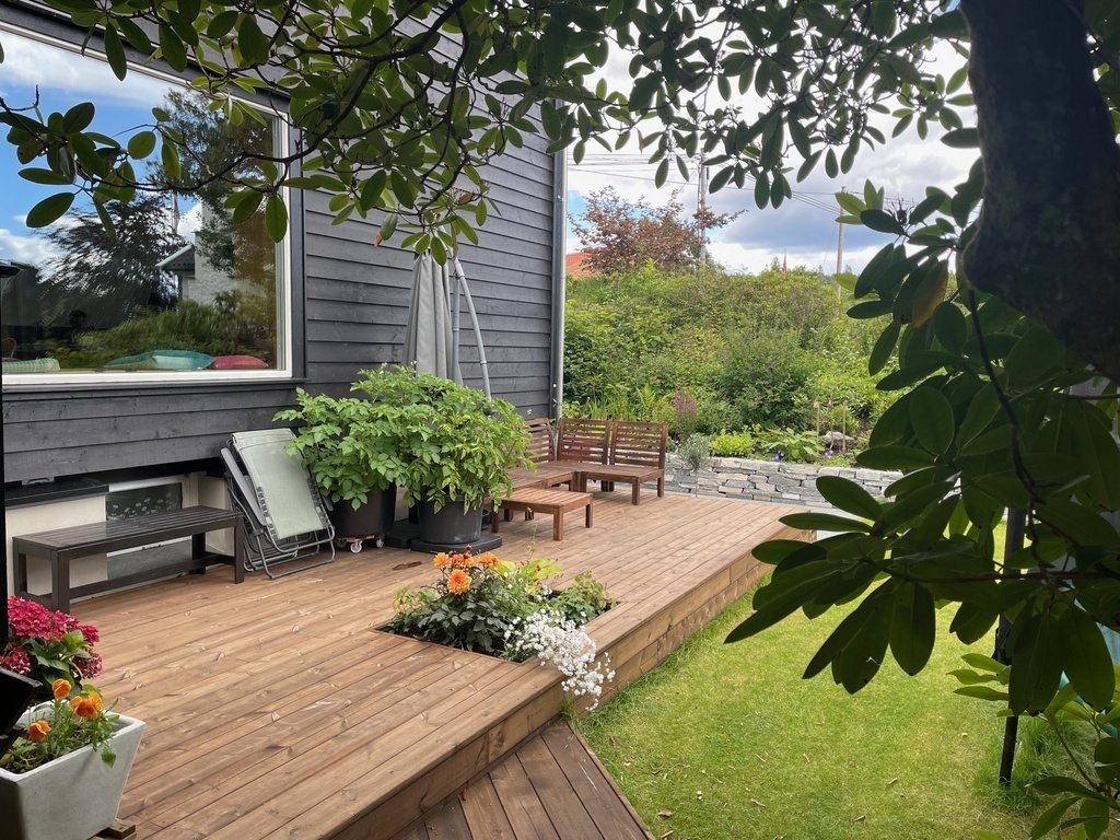 View from the hammock