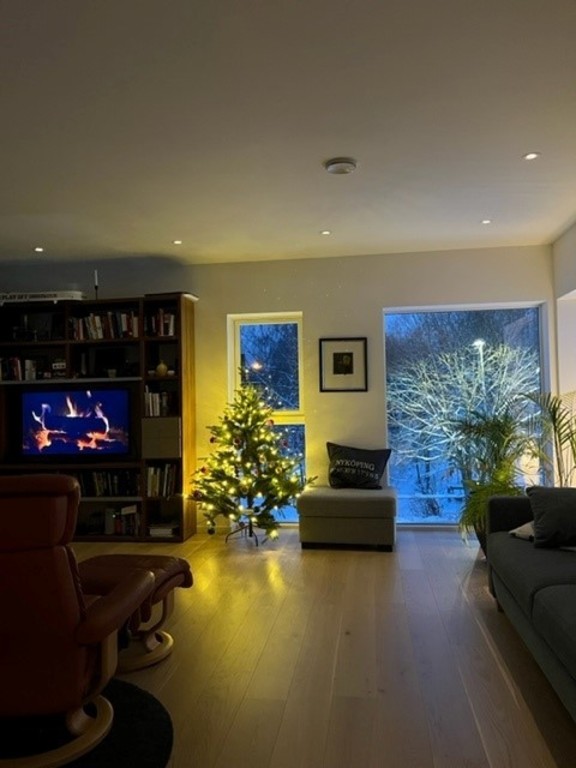 Living room at Christmas time