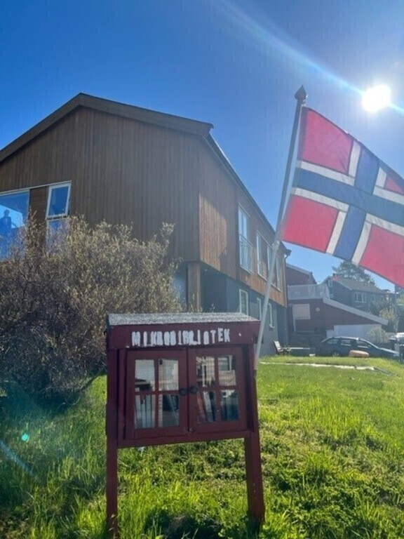 17th May celebrations