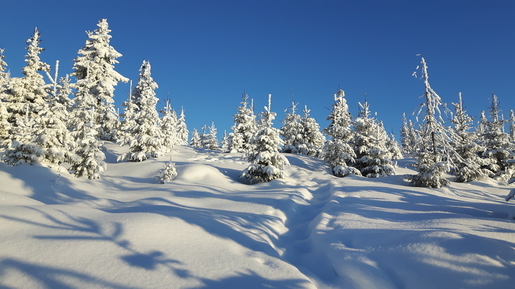 uphill back the house